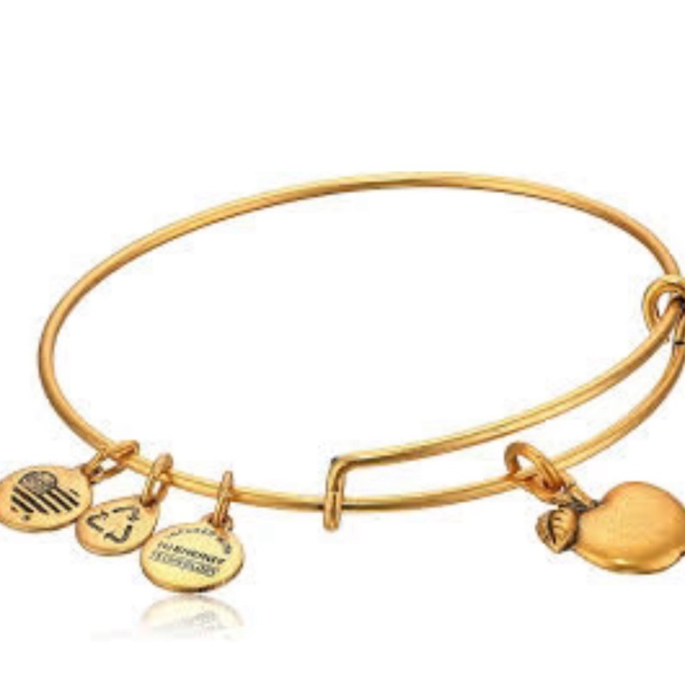 Alex and Ani Gold Apple of Abundance Charm Teacher Bangle Bracelet